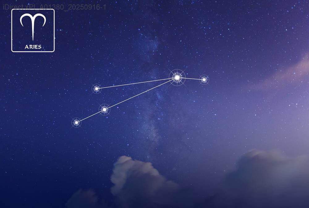 「金牛座O型人士必看！揭秘你的堅持與幽默如何共存！」